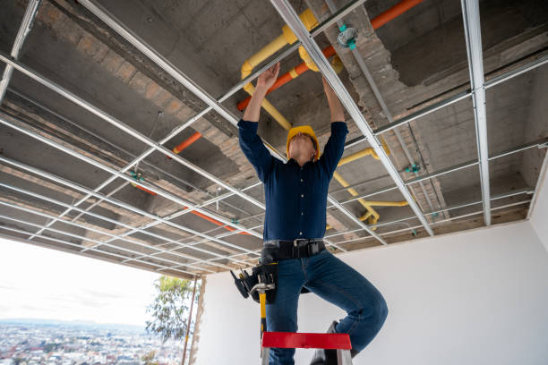 Best Same-Day Plumbing Service  in Westminster, CO
